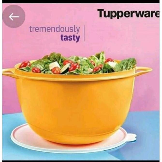 TUPPERWARE Jumbo Thats A Bowl 14L Original