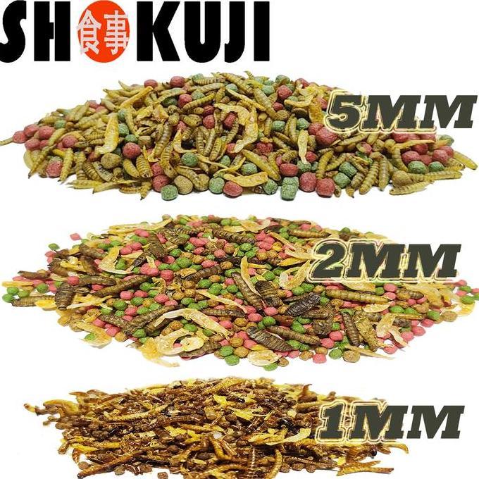 NEW 3KG SHOKUJI PELET BRAZIL RES RAZORBACK MAKANAN KURAKURA AIR BRASIL DAMER CST PIPUT AMBON PAKAN P