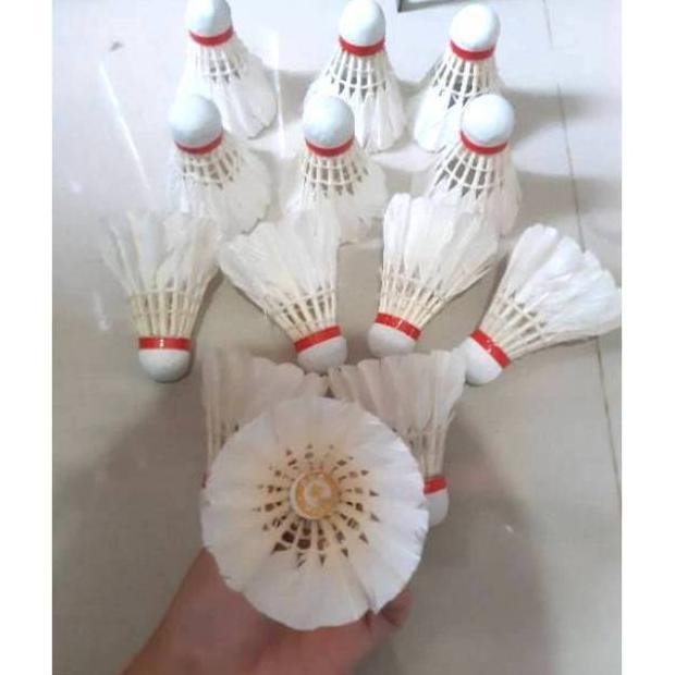 Best Seller Bola Kok Badminton Kok Bulutangkis Bola Kok Murah Perbuah