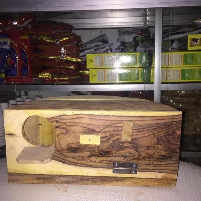 Lansungaja- Glodok Ternak Lovebird - Glodokan Oval Sangkar Lovebird - Glodok Kayu