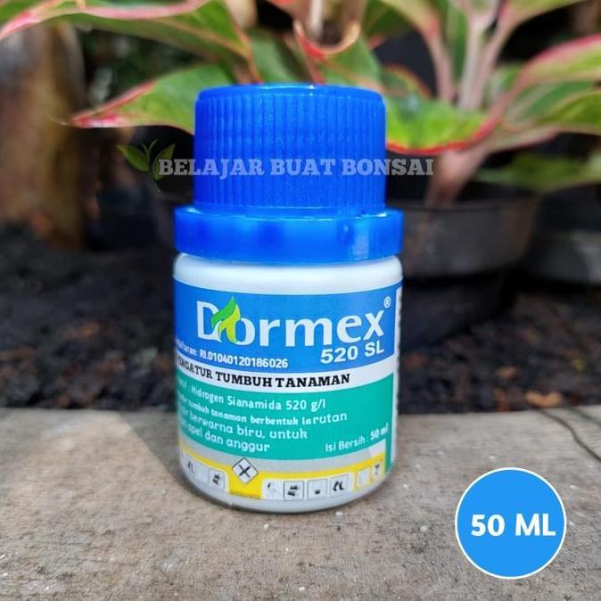 Silvergarden- Dormex 520Sl Hidrogen Sianamida Zpt Apel Anggur Germany