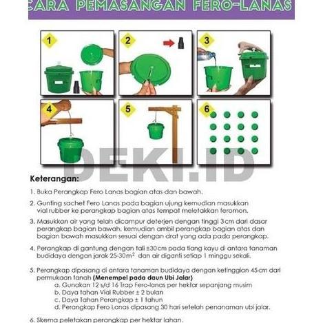 Fero Lanas Feromon Pengendali Hama Boleng Tanaman Ubi Jalar FeroLanas