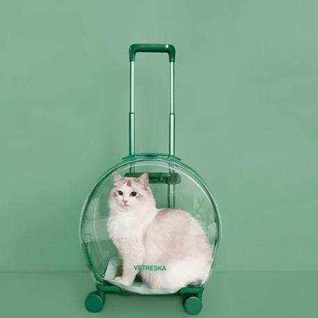 Tas Transparan Kucing Anjing Trolley Cargo Travel Bag Cat Dog Koper