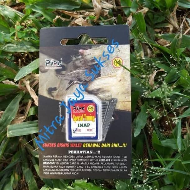 Suara Walet Piro Inap Untuk Suara Inap Walet