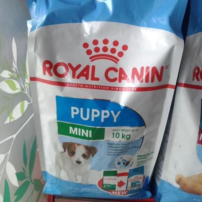 royal canin mini puppy dog food 4kg