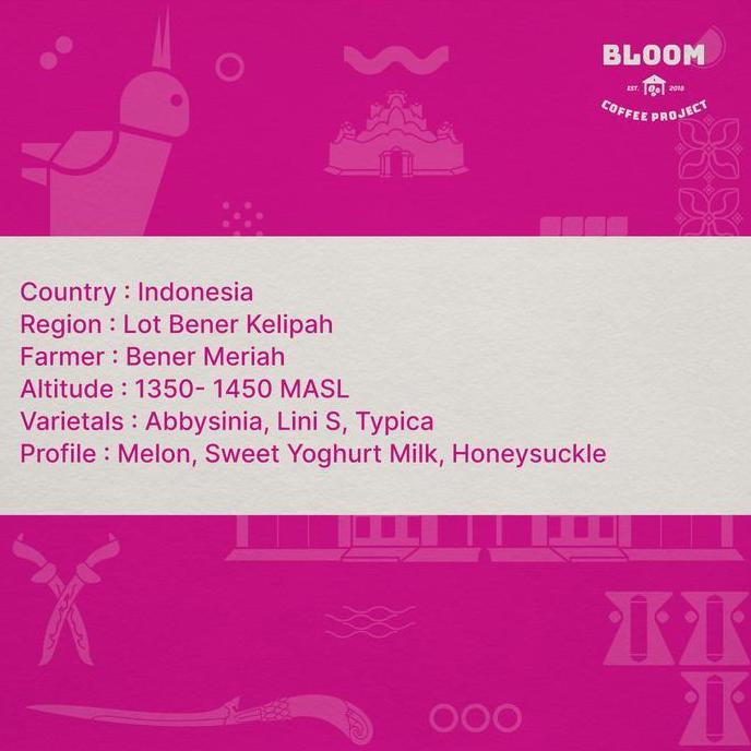 Klikpakdamar - Biji Kopi Aceh Gayo Bener Meriah - Aurora Dew - Midori Melon - Green Beans