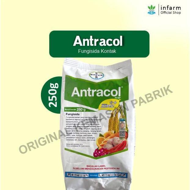 Promo INFARM - Antracol Fungisida 250 gram Fungisida Sistemik Zinc Obat Anti Busuk Jamur Tanaman Kem