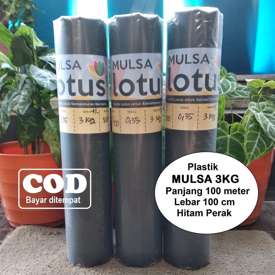 [POP] mulsa plastik mulsa pertanian plastik hitam perak 1 roll lebar 100 cm panjang 100 meter tanama