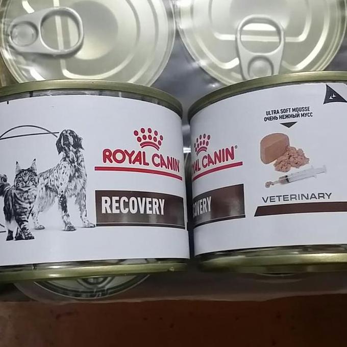 TERLARIS - GROSIR Royal Canin Vet Recovery 195 Gram