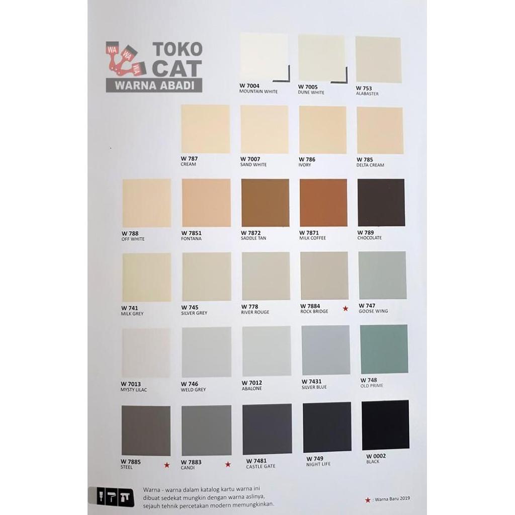 CAT TEMBOK WELDON 25 KG