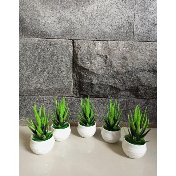 Big Promo (Cod) Bunga Kaktus Hias Mini Lidah Buaya Artificial Sukulen Mini