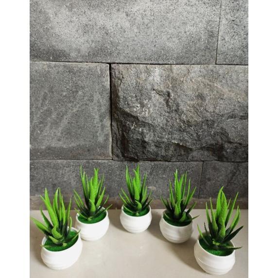 hot deals (cod) bunga kaktus hias mini lidah buaya artificial sukulen mini