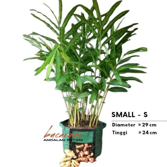 Easy Grow Rhizoma Planter Bag Jahe