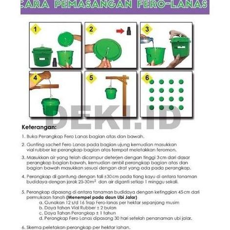 Fero Lanas Feromon Pengendali Hama Boleng Tanaman Ubi Jalar FeroLanas