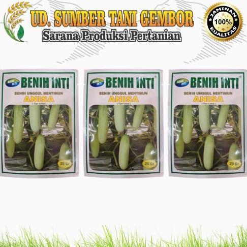 BENIH TIMUN ANISA TIPE LALAP BENIH INTI BENIH UNGGUL