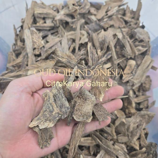 Kayu Gaharu Asli Alami Kalimantan KC Super