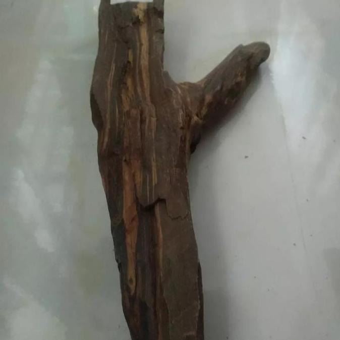 Kayu Gaharu Kalimantan