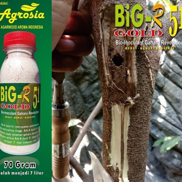 BiG-R Gold 51 - Inokulan Gubal Gaharu - 70 gram