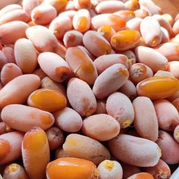 KURMA RUTHOB KURMA FRESH LANGSUNG DARI LIBYA - 2kg