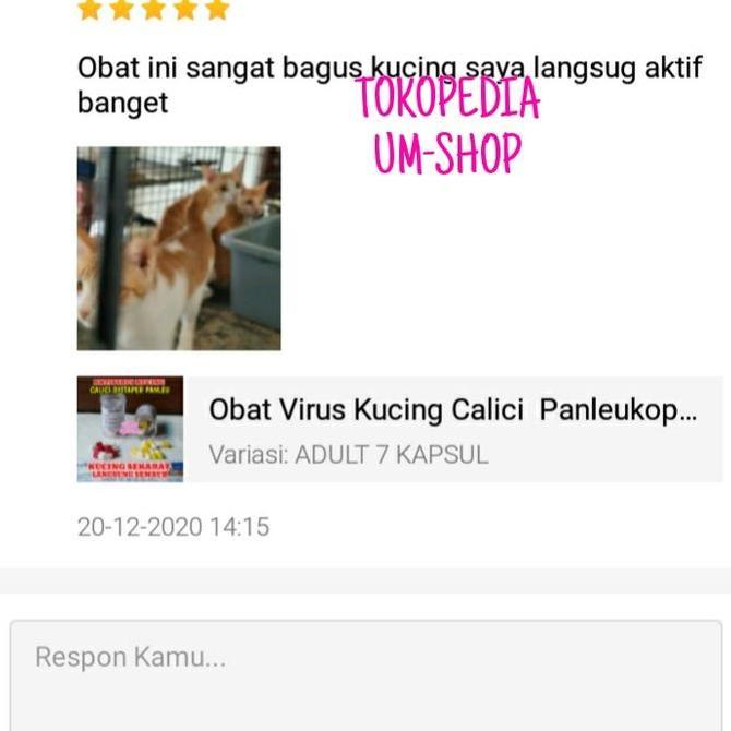 Catbull- Obat Antivirus Kucing Calici Distaper Virus Panleukopenia