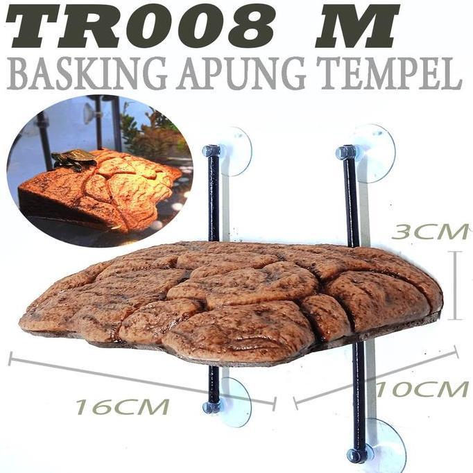 BASKING SPOT RAMP KURA KURA AIR BRAZIL AMBON CST RES DAMER KADAL TORTOISE SULCATA TANGKRINGAN TEMPAT