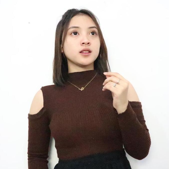 DF165 - Turtleneck Knit Rajut Lengan Panjang Wanita Kaos Kerah Tinggi Style Korea Baju Fit