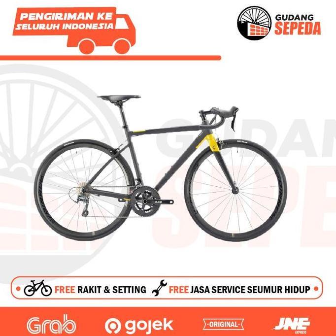 Terlaris Sepeda Balap Roadbike Element Curved Camp Carbon Fork Rd Shimano Sni
