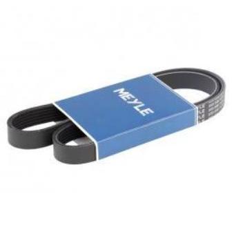 Fan Belt VW Golf 6, VW Tiguan, VW Touran, VW Scirroco TSI