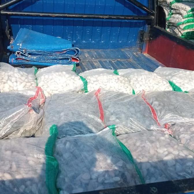 BATU KORAL PUTIH/BATU KUPANG PUTIH/BATU TAMAN/BATU SIKAT/BATU ALAM KS