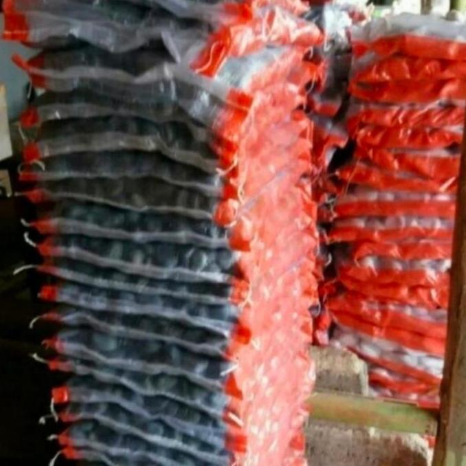 batu koral hitam bengkulu KS