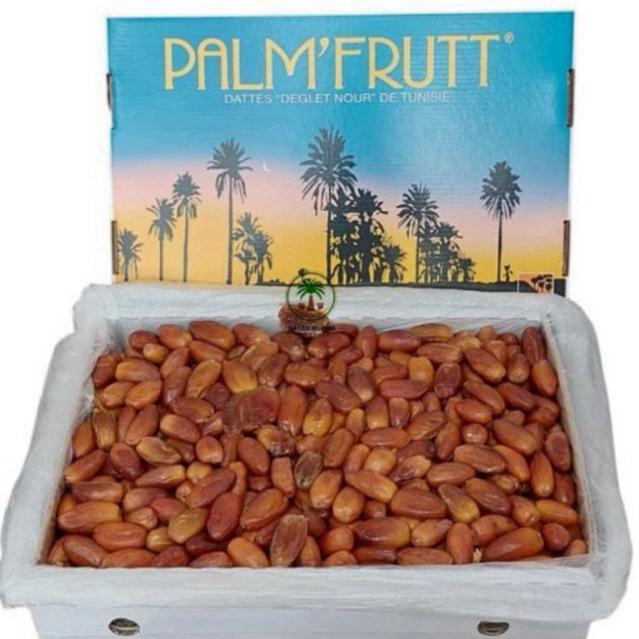Kurma Tunisia Madu Palm Fruit 1Kg / Tunis Madu Kurma Barari Palm Basah