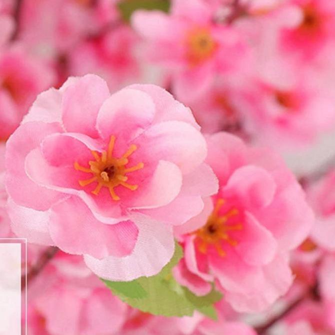 Lansungkirim- Bunga Simulasi Sakura Buatan Plastik 65Cm - Merah, Putih, Pink, Kuning, Ungu Bunga  Sa