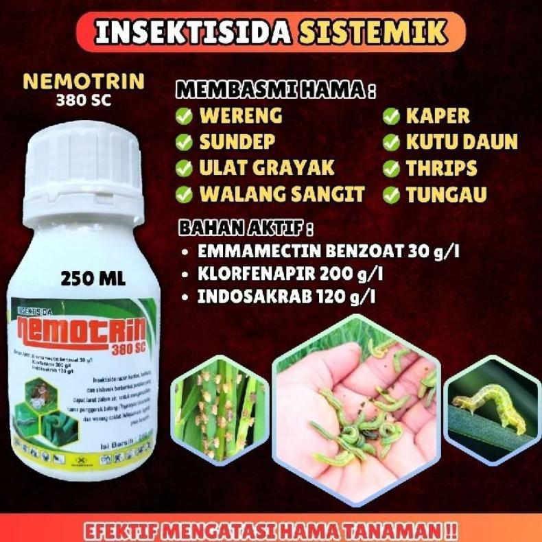 Bisa Cod Nemotrin Insektisida 380 Sc Obat Pembasmi Hama Gulma Rumput Liar Padi Racun Ulat Paling Amp