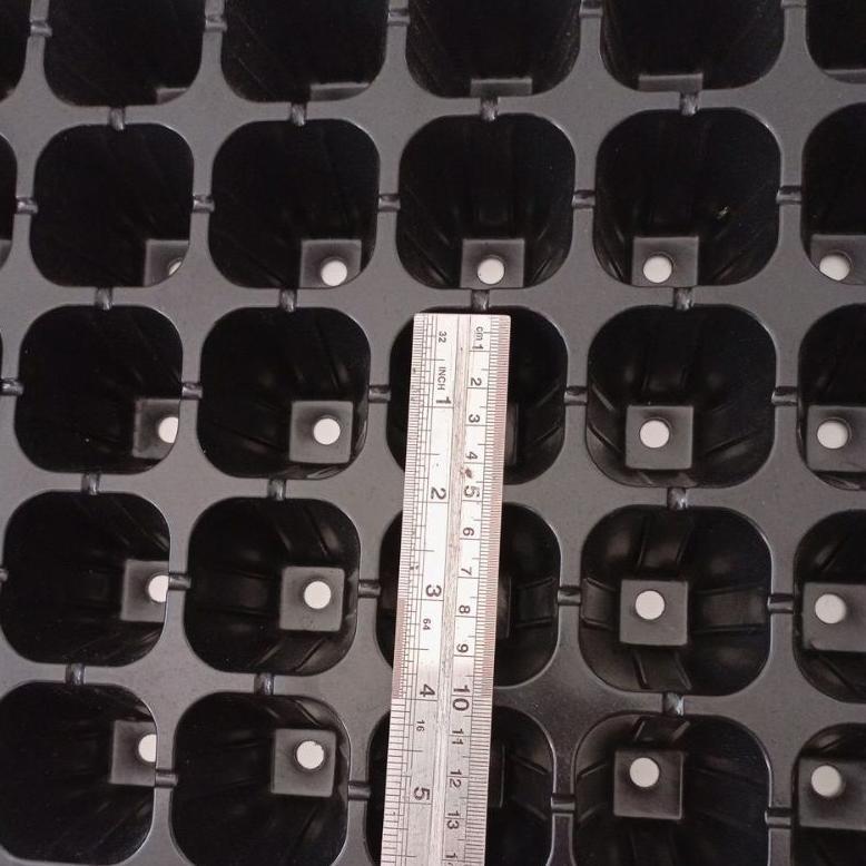 Bisa Cod Tray Semai Pot Tray Seedling 50 Lubang Besar ><
