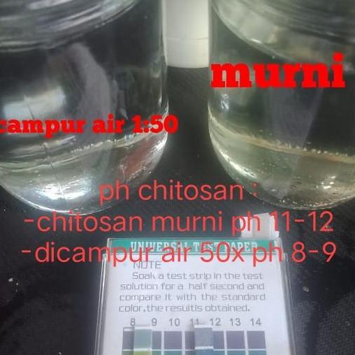 pengawet organik chitosan, pengawet sayuran, buah, daging, ikan,