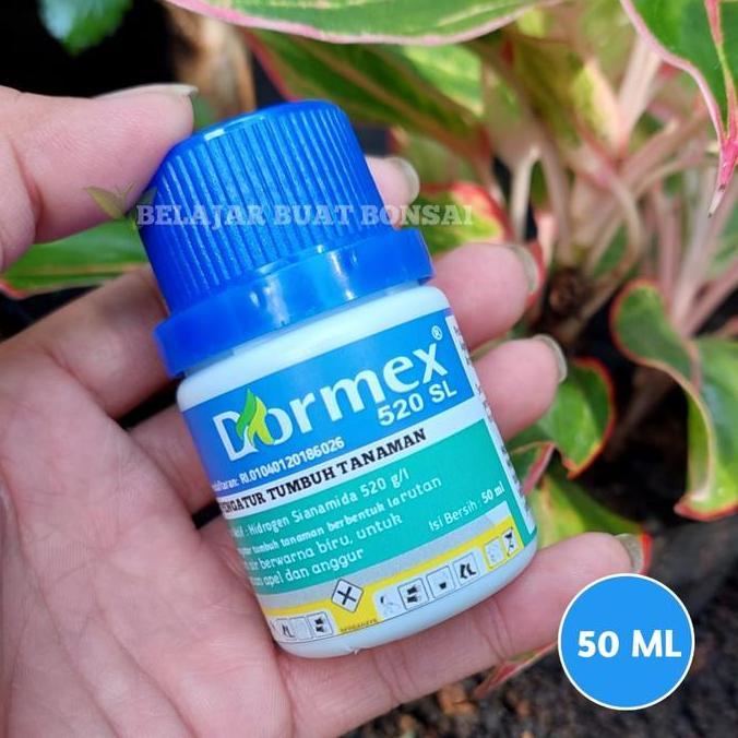 Grdwill- Dormex 520Sl Hidrogen Sianamida Zpt Apel Anggur Germany