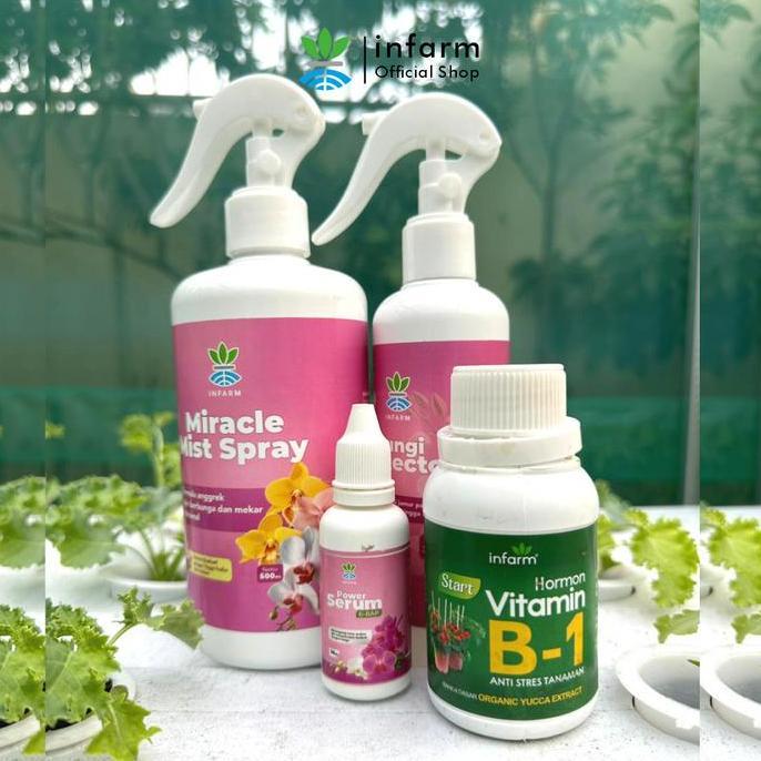 Grdx- Infarm - Paket Lengkap Pupuk Anggrek Perawatan Premium Angrrek Rajin Bebunga Dan Anti Jamur Vi