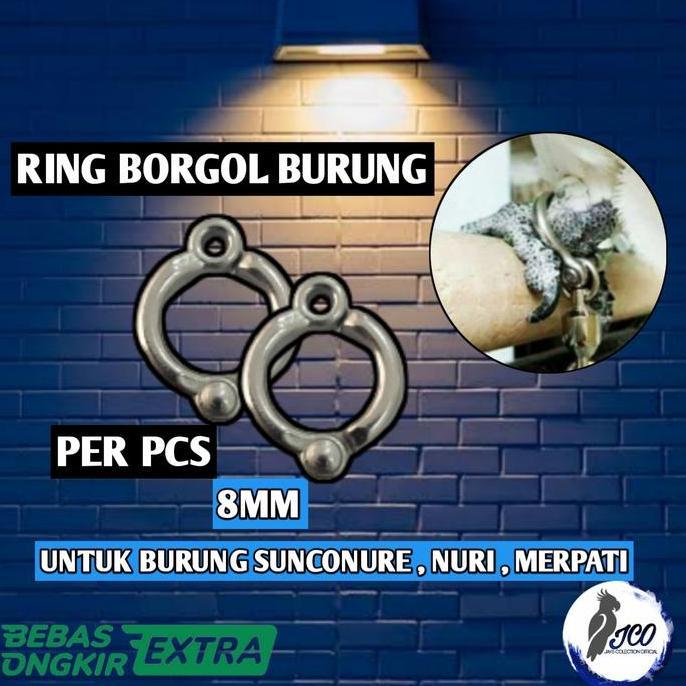Bridwoi- Ring Borgol 8Mm Ring Borgol Burung Sunconure Nuri Ring Kaki Burung
