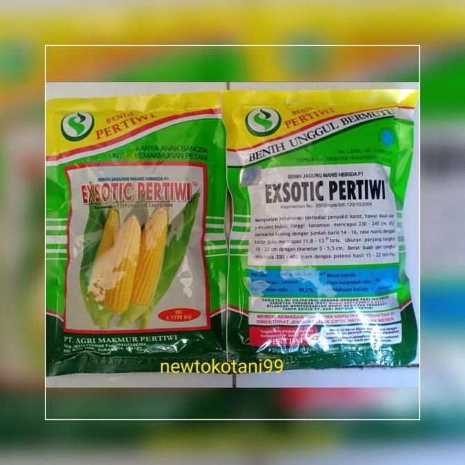 benih bibit jagung manis EXOTIC F1 produksi pertiwi