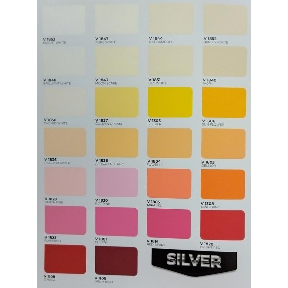 CAT TEMBOK INTERIOR PALADIN SILVER 20 LITER