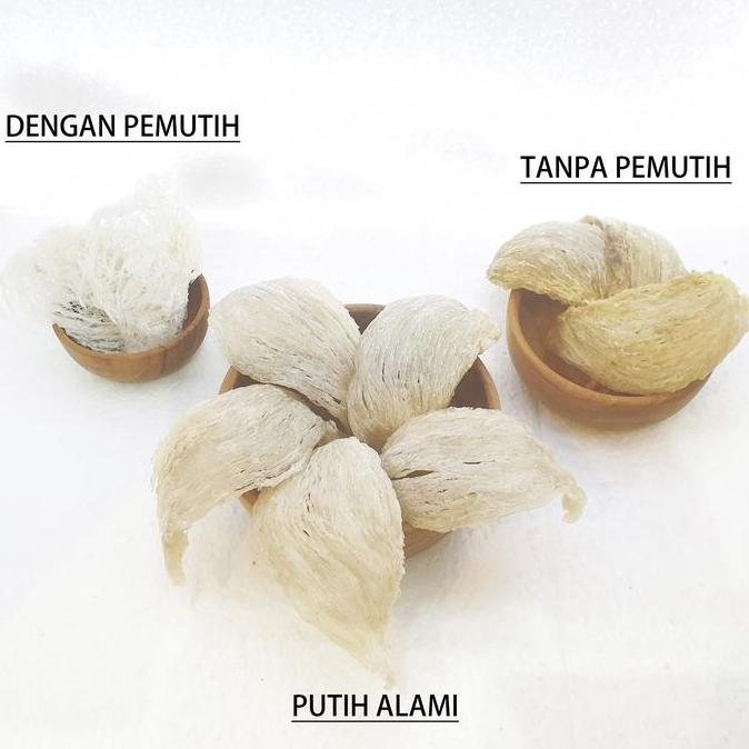 ~~~] SARANG BURUNG WALET Bird Nest [] - Grade Putih Alami