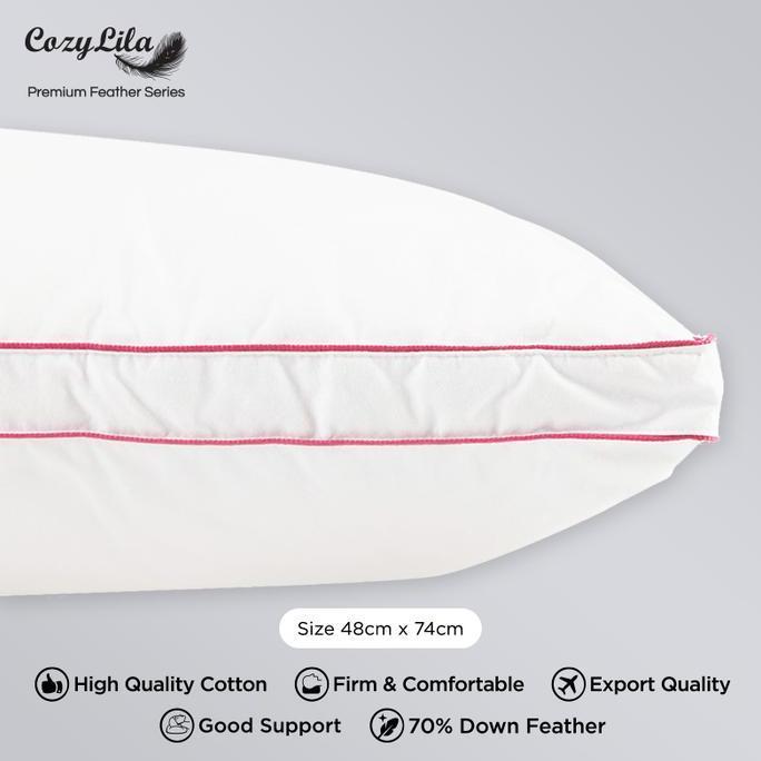 Bantal Bulu Angsa Asli 90% Down (Signature)