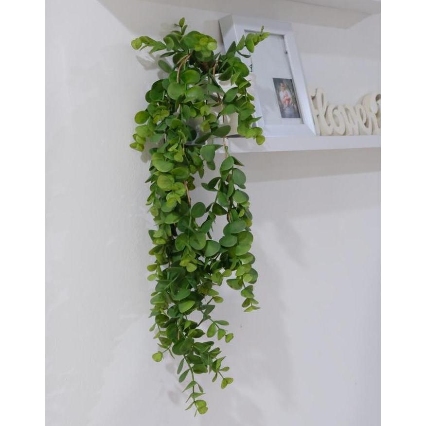 Tanaman Gantung Plastik Eucalyptus