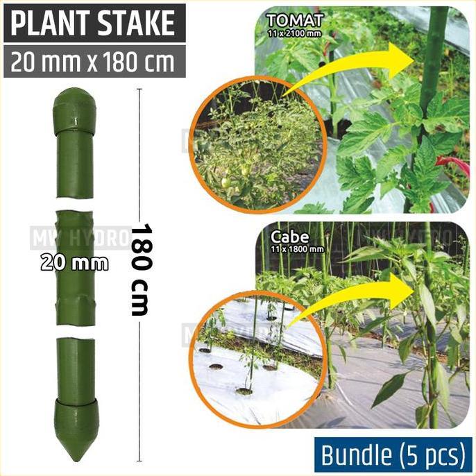 TERBARU - 5 pcs Plant Stake / Ajir Tanaman - TAKIRON - 20 mm x 180 cm