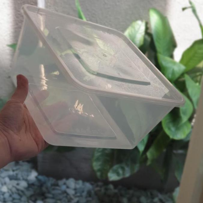 Thinwall Square 3000ml / Thinwall Kotak 3000ml. Isi 25pcs