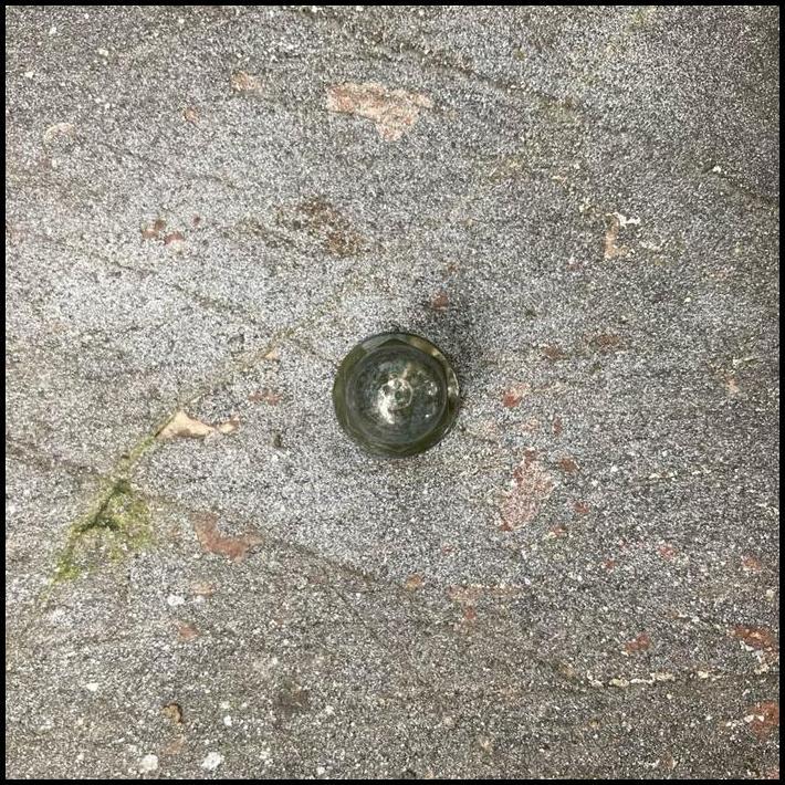 GRATIS ONGKIR NUT (FOR FRONT WIPER ARM SETTING) MUR STANG GAGANG TOYOTA COROLLA CORONA AE80 AT150 AT