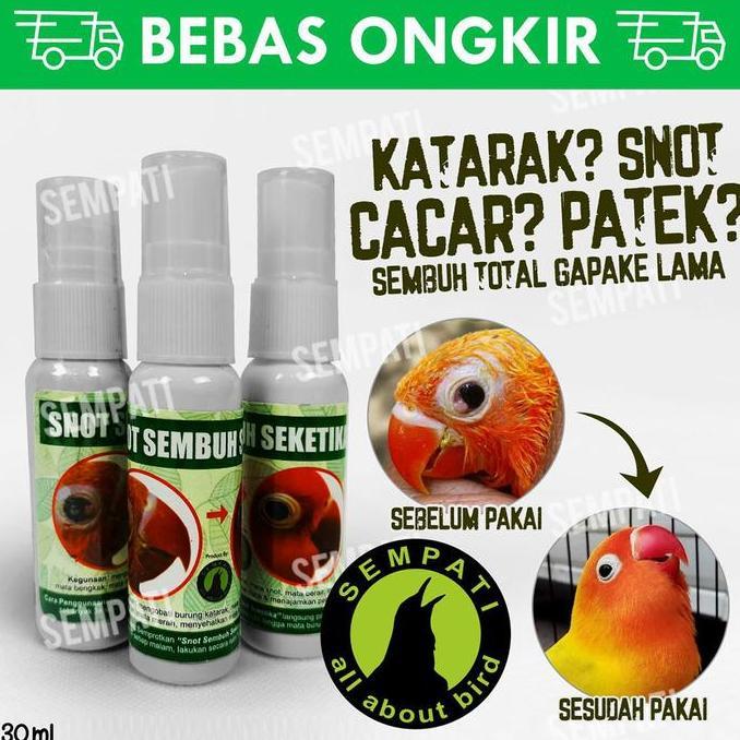 Kicaudor- Snot Sembuh Seketika Sempati Obat Burung Sakit Mata Katarak Bengkak