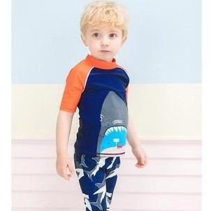 Baju Renang Anak Cowo Bayi Shark Setelan Renang Toddler Swimwear wetsuit swimwear boy
