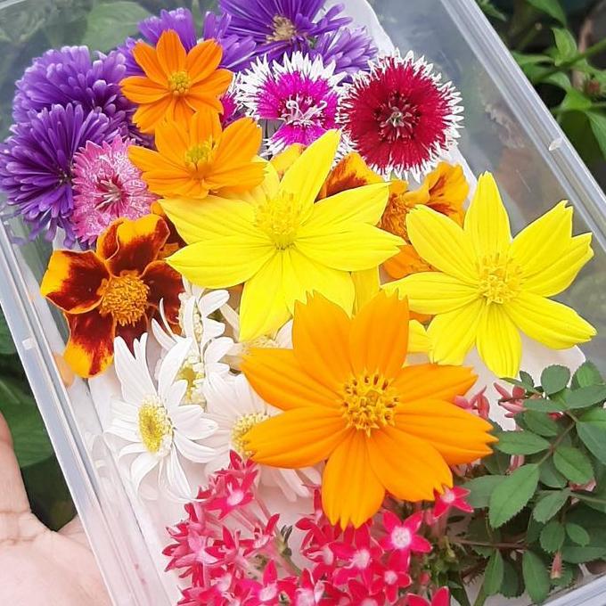 Edible flowers 30 Pcs (Flowers)