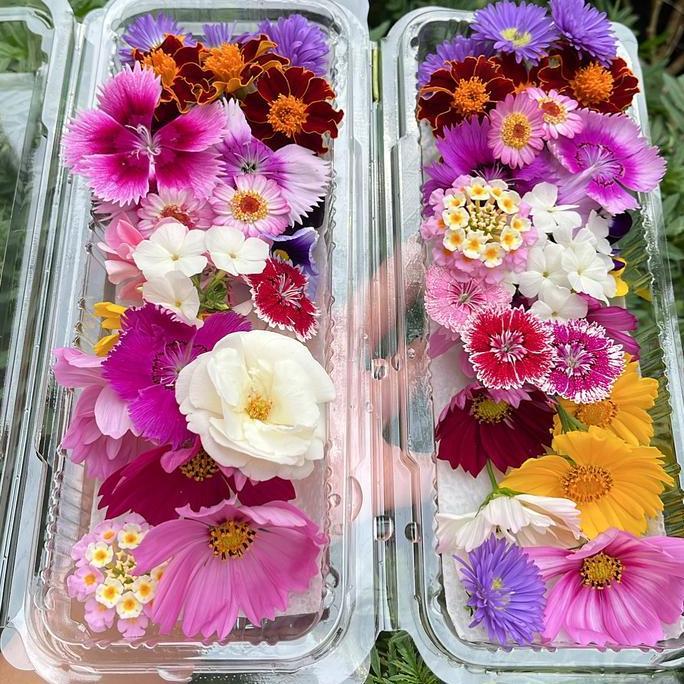 Edible flower mixed